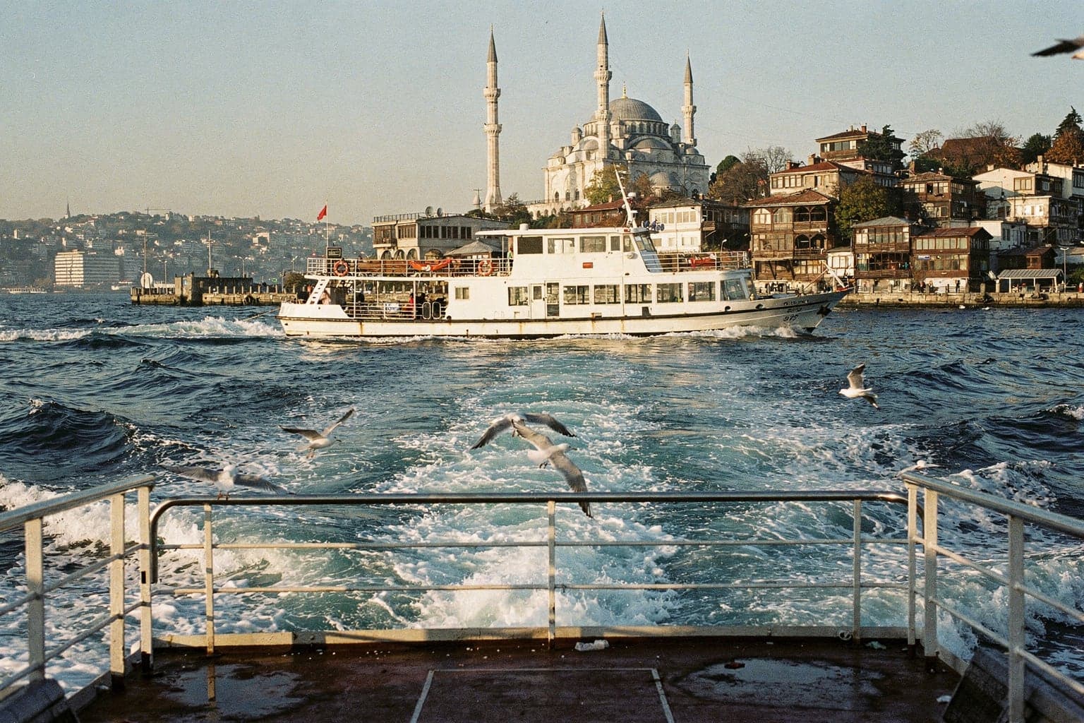 A white commuter ferry crossing the Bosphorus in morning light, gulls over the wake, the Asian shore behind
