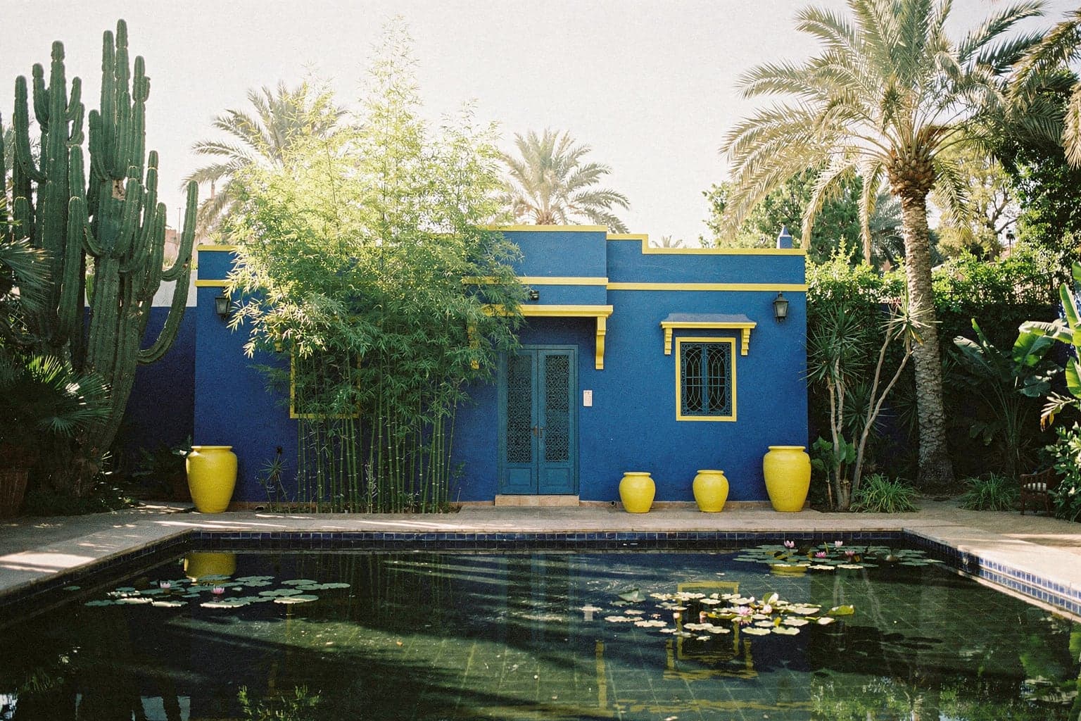 The cobalt-blue villa of Jardin Majorelle framed by cacti and bamboo in morning light