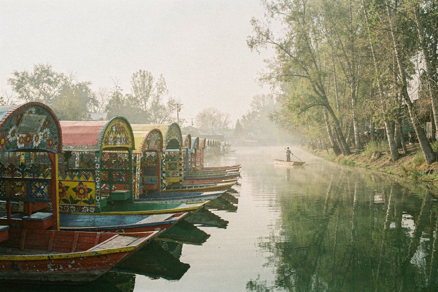 Painted wooden trajinera boats moored on a misty canal in Xochimilco, with tall ahuejote trees reflected in still green water