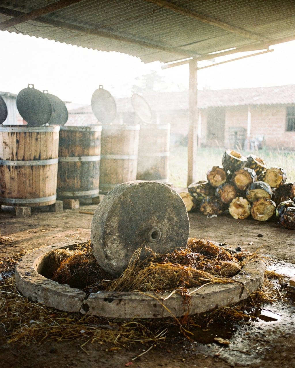 A mezcal palenque in Santiago Matatlán with a stone tahona wheel in a circular pit of roasted agave fibre and wooden fermentation vats behind